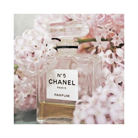 chanel profumi tumblr|Chanel perfume official website.